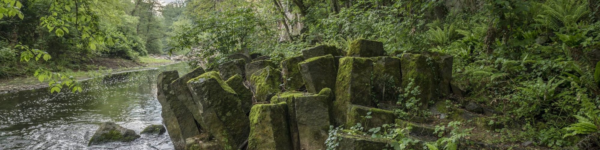 PREMIS LITERARIS DONES D’AIGUA DE SANT JOAN LES FONTS 2026