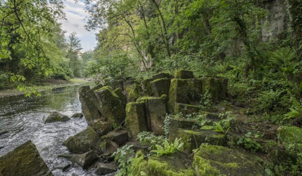 PREMIS LITERARIS DONES D’AIGUA DE SANT JOAN LES FONTS 2026